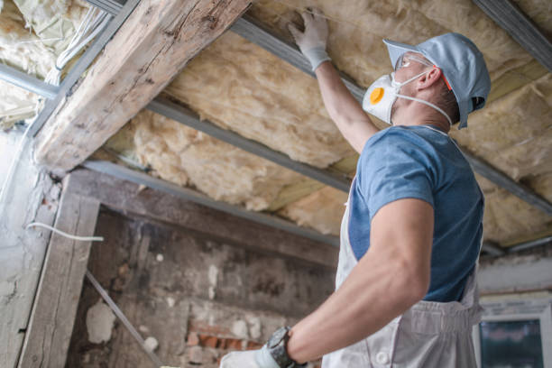 Best Commercial Insulation in Soperton, GA